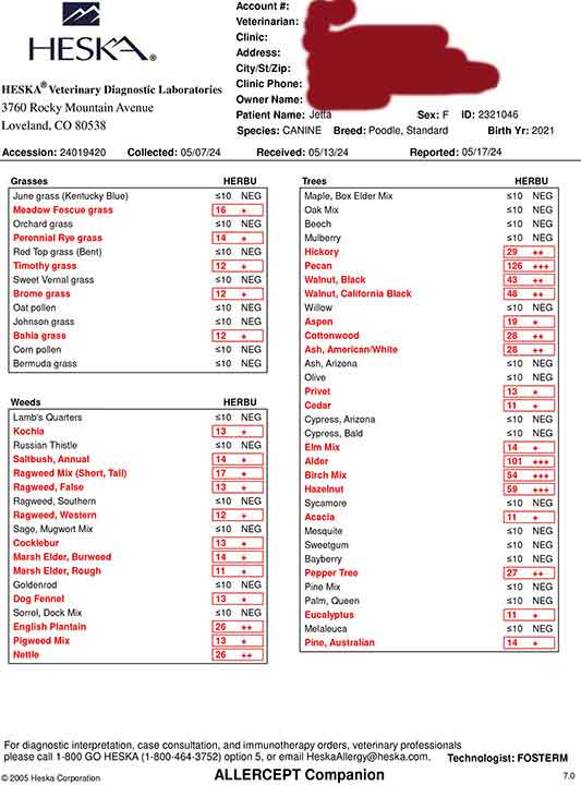 AllergytestingJetta-pg1