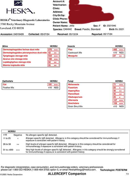 AllergytestingJetta-pg2