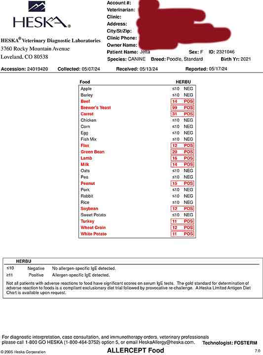 AllergytestingJetta-pg5